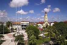 Ceiba Tops in Iquitos